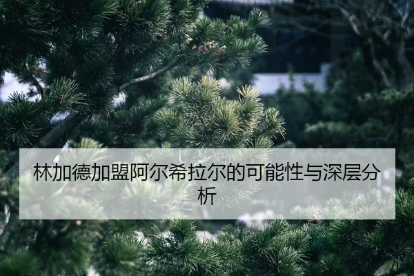lin-jia-de-jia-meng-a-er-xi-la-er-de-ke-neng-xing-yu-shen-ceng-fen-xi-2-341.jpg